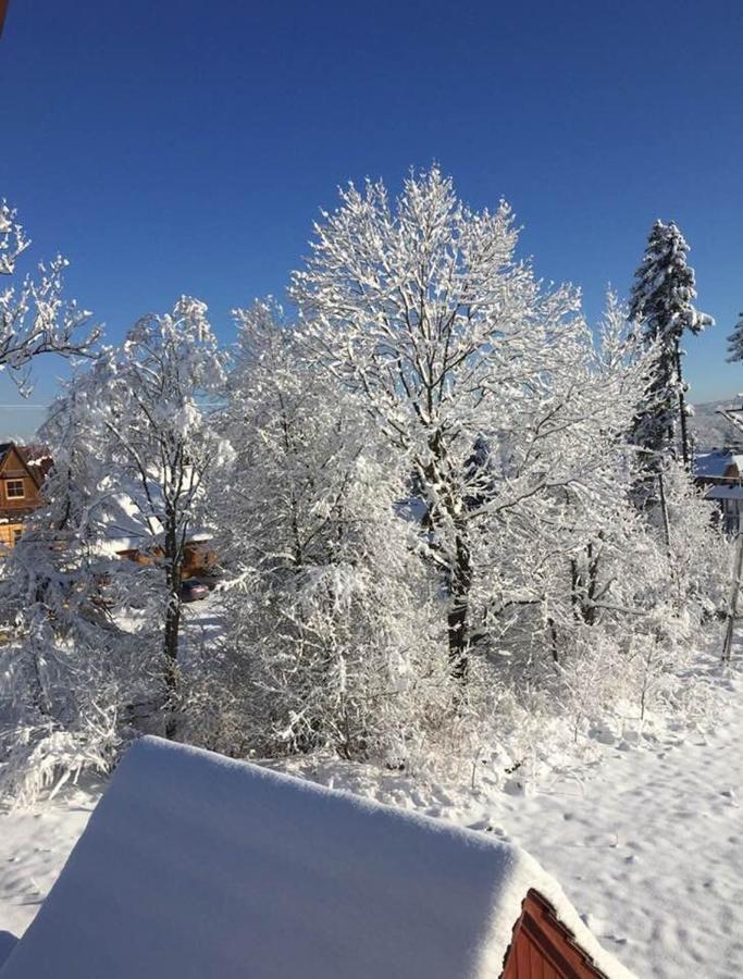 Apartament Poleczka Zakopane Koscielisko Экстерьер фото